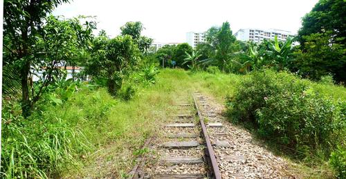 Five teams shortlisted for Singapore's Rail Corridor redevelopment