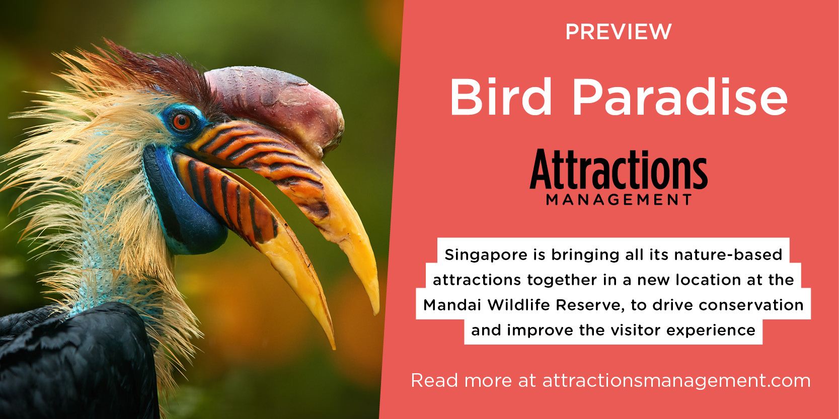 Birds of Paradise, Attractions