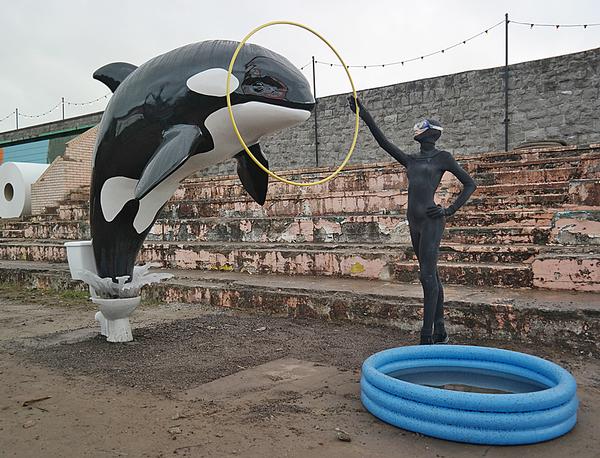 A whale jumps from a toilet into a paddling pool 