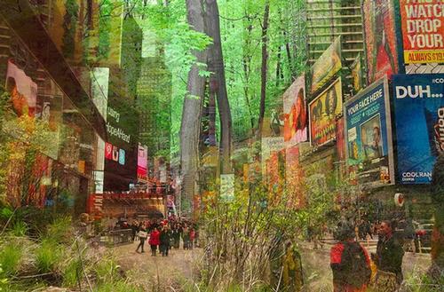 Pop-up nature installation to take over New York's Times Square