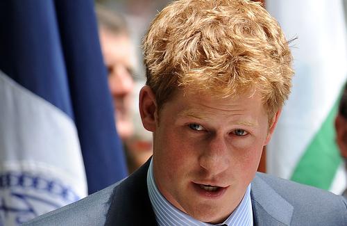 Prince Harry is believed to be among The Third Space's famous patrons / Shutterstock.com