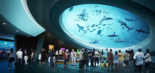 A rendering shows the mezzanine in the Frost Museum of Science in Miami, Florida, which opens in 2016