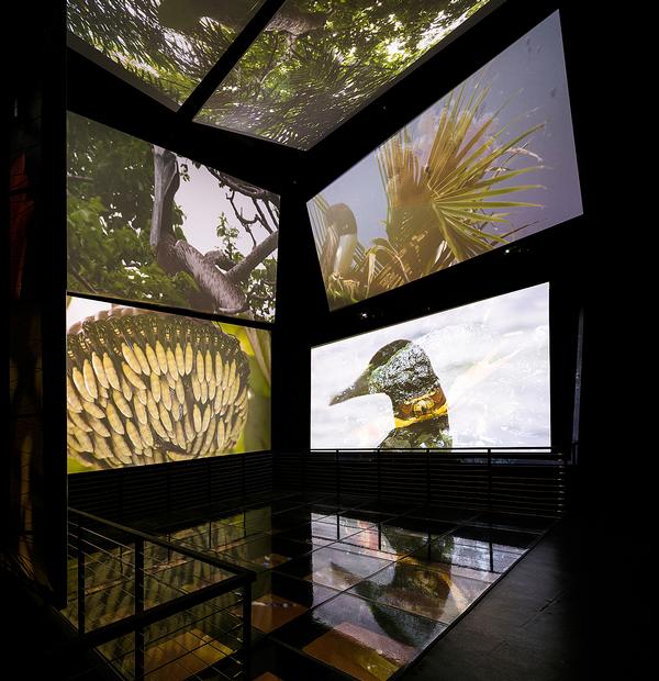 Biomuseo’s first five galleries opened in October 2014, featuring 
a range of interactive exhibits. 
Three further galleries are planned