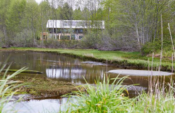 The goal was to create a house that allows for the natural world to thrive