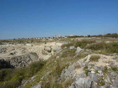 The Yeolands Quarry is a brownfield site