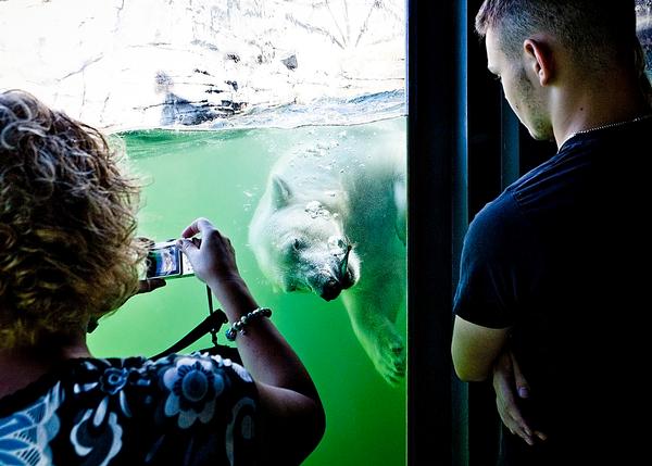 Kieran Stanley has created Hannover Adventure Zoo’s Yukon Bay, Germany and Chester Zoo’s Islands, UK