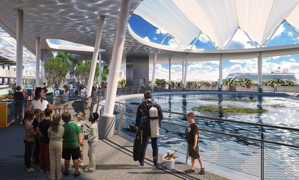 The aquarium and wildlife centre at the Frost Museum of Science will contain a microcosm of Florida’s animal, fish and plant life