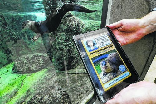 Beacon technology allows guests to track animals at Tennessee Aquarium