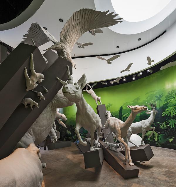 In the Worlds Collide exhibit, life size statues of animals stampede to illustrate what happened when Panama was formed