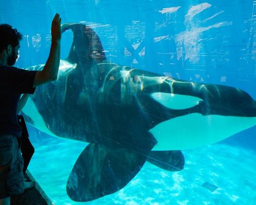 Chimelong Controversially Opens Chinas First Orca Breeding Facility