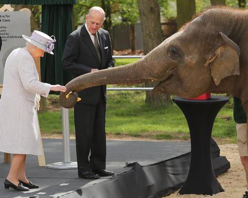 Queen Elizabeth II and the Duke of Edinburgh with an elephant at ZSL Whipsnade Zoo, where they officially opened the zoo's new Centre for Elephant Care as part of a visit to Bedfordshire / Chris Radburn/PA Wire/PA Images
