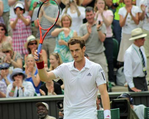 Murray could line up with rival Novak Djokovic in the competition's European team / Shutterstock.com