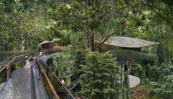 Elevated walkways and guided tours will allow resort guests to explore the forest