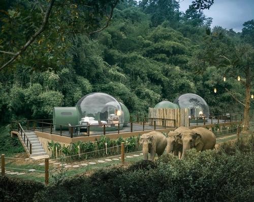 The bubbles are raised up onto wooden platforms to provide the best possible views of passing elephants / Anantara Golden Triangle Elephant Camp & Resort